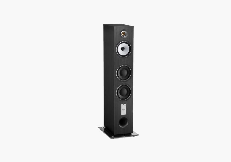 Triangle Esprit EZ Antal Enceinte Colonne Couleur Noir Cendré