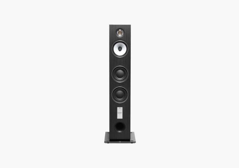 Triangle Esprit EZ Antal Enceinte Colonne Couleur Noir Cendré