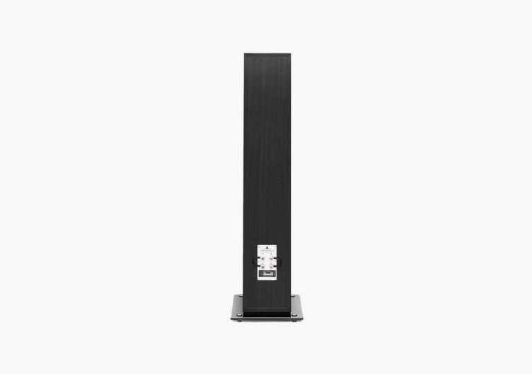 Triangle Esprit EZ Antal Enceinte Colonne Couleur Noir Cendré