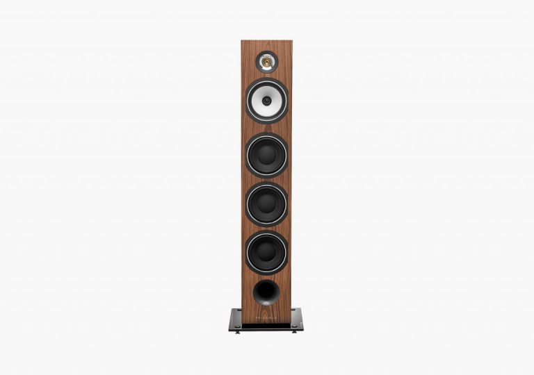 Triangle Esprit Australe Ez Hifi Enceinte Colonne Couleur Érable
