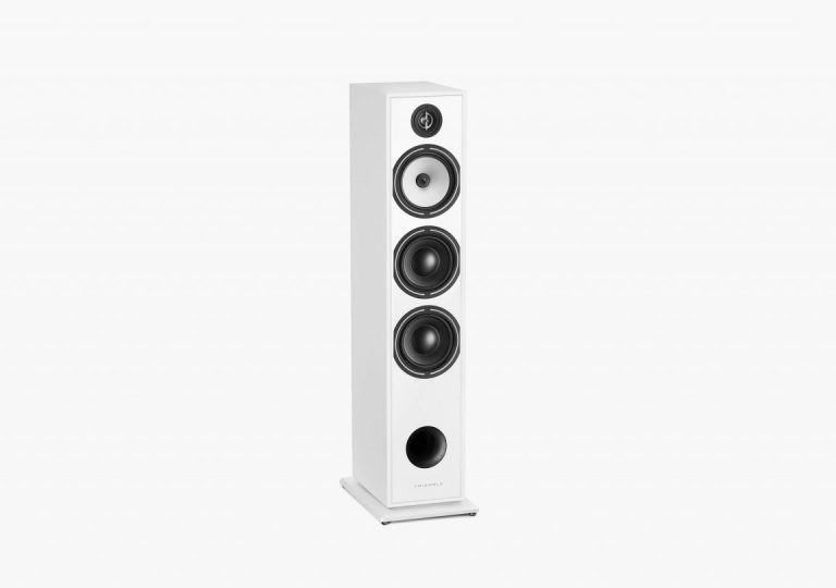 Triangle Borea BR08 – Haut-Parleur Colonne Blanc (Paire)