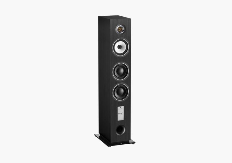 Triangle Esprit EZ Gaïa Tower Speaker Colour Black Ash