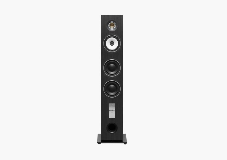 Triangle Esprit EZ Gaïa Tower Speaker Colour Black Ash