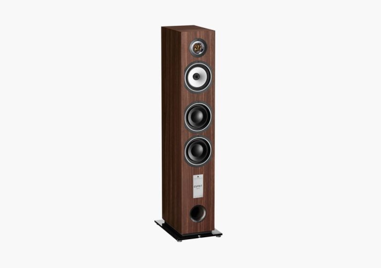 Triangle Esprit EZ Gaïa Tower Speaker Colour Walnut