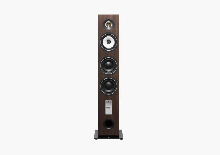 Triangle Esprit EZ Gaïa Tower Speaker Colour Walnut