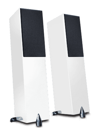 Totem Acoustic Forest Signature Haut-parleurs Glace Fabriqués au Canada (Paire)