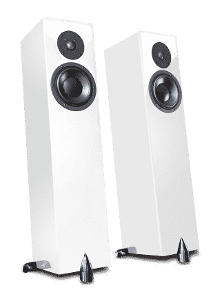 Totem Acoustic Forest Signature Haut-parleurs Glace Fabriqués au Canada (Paire)