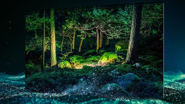 Samsung 65 S95 OLED 4K Télévision Intelligente