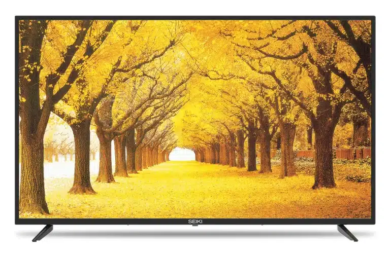 SEIKI 32 po HD Téléviseur Intelligent DEL (SC-32HA960N)