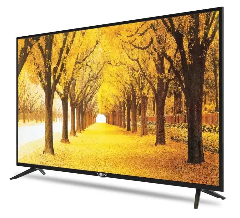 SEIKI 32 po HD Téléviseur Intelligent DEL (SC-32HA960N)