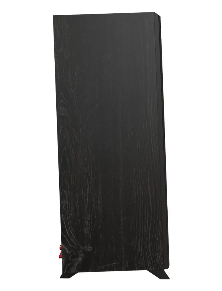 KLIPSCH Série Reference 2 voies, Double 6,5 po Haut-Parleurs Colonnes / Tours Couleur Noir Ébène (RP6000) (Paire)