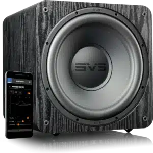 SVS SB-1000 Pro: Subwoofer (Black)