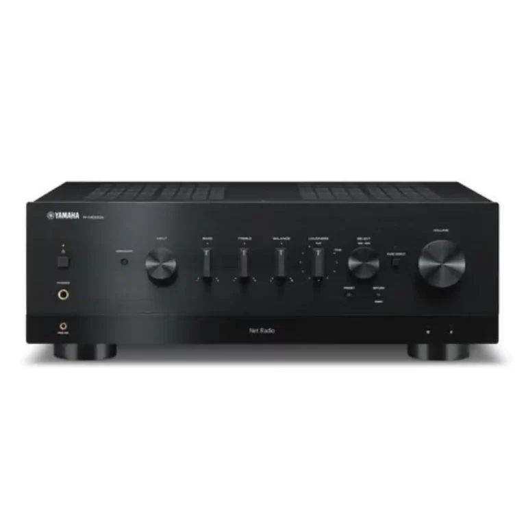 Yamaha RN1000A Récepteur Stéréo Réseau avec MusicCast Noir (R-N1000A)