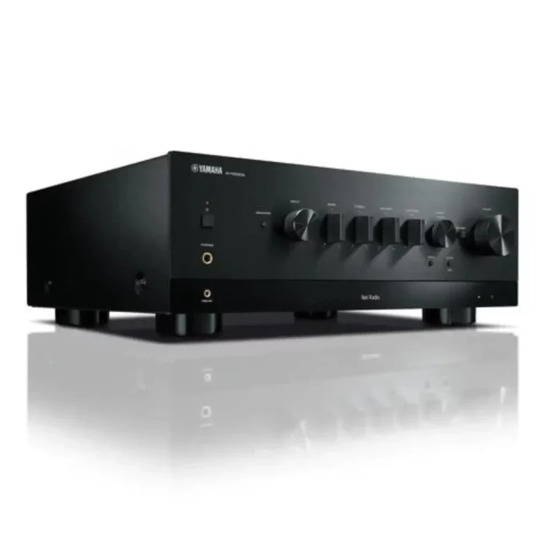 Yamaha RN1000A Récepteur Stéréo Réseau avec MusicCast Noir (R-N1000A)