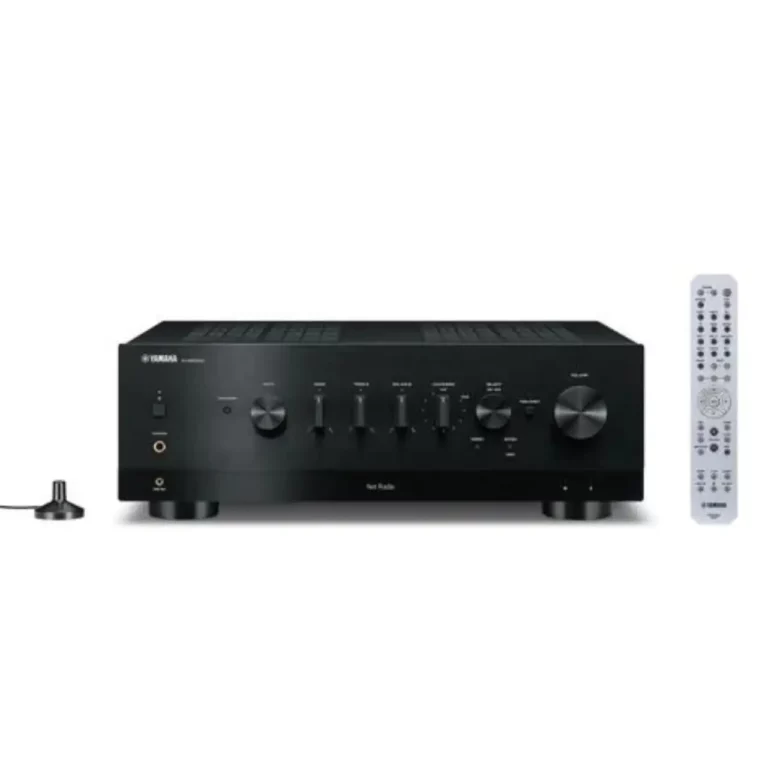 Yamaha RN1000A Récepteur Stéréo Réseau avec MusicCast Noir (R-N1000A)