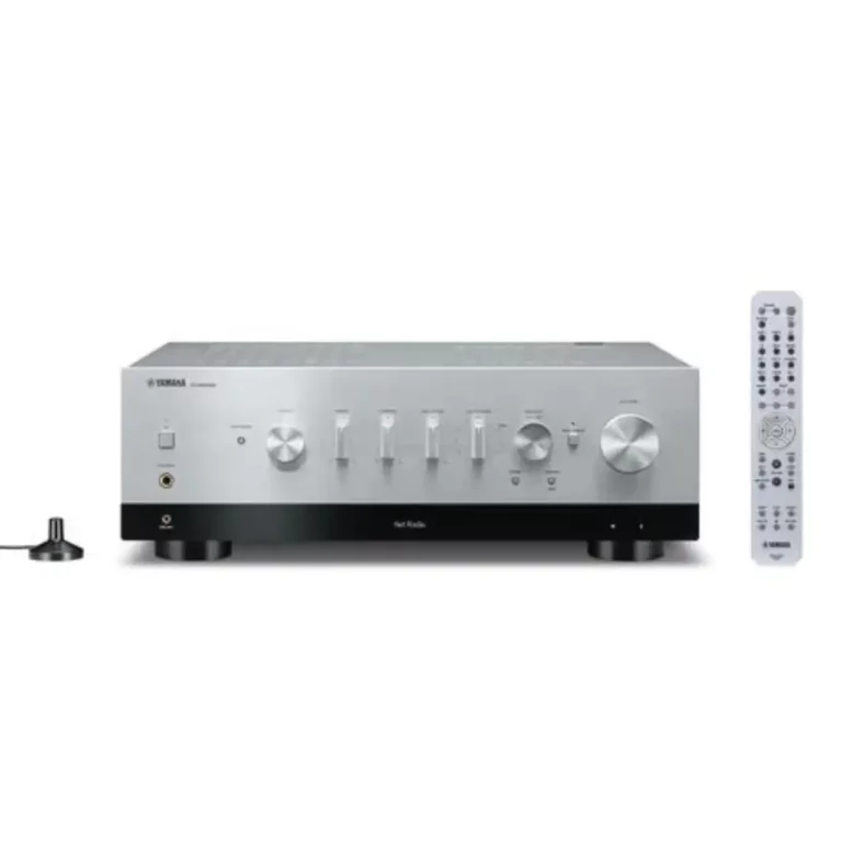 Yamaha RN1000A Récepteur Stéréo Réseau avec MusicCast Argent (R-N1000A)