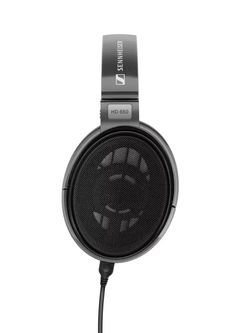 Sennheiser HD650: Open Back Headphones