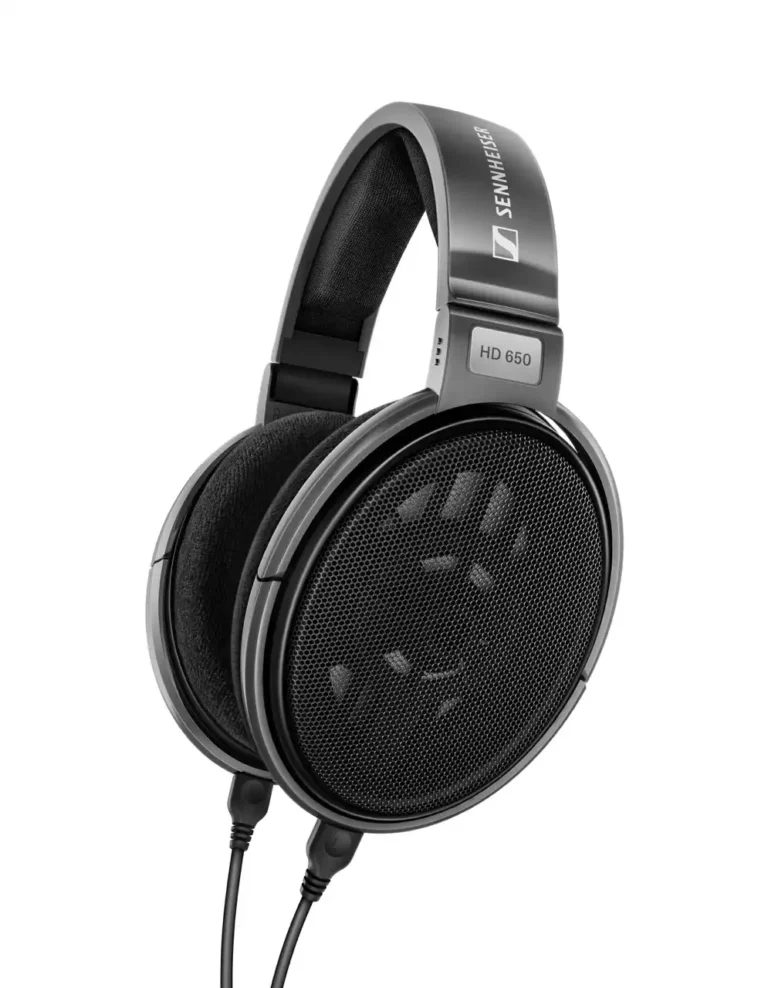 Sennheiser HD650 Écouteurs Circum-auraux à Dos Ouvert(HD650)