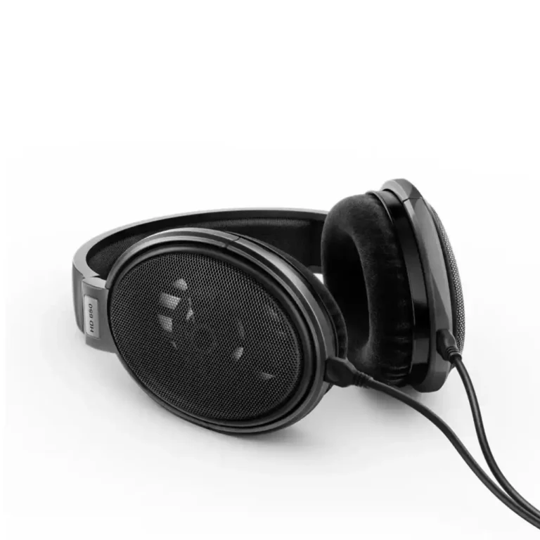 Sennheiser HD650 Écouteurs Circum-auraux à Dos Ouvert(HD650)