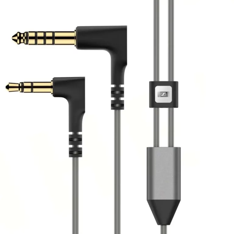 Sennheiser IE 600: In Ear Headphones