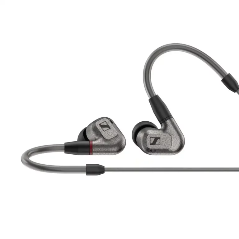 Sennheiser IE 600: In Ear Headphones
