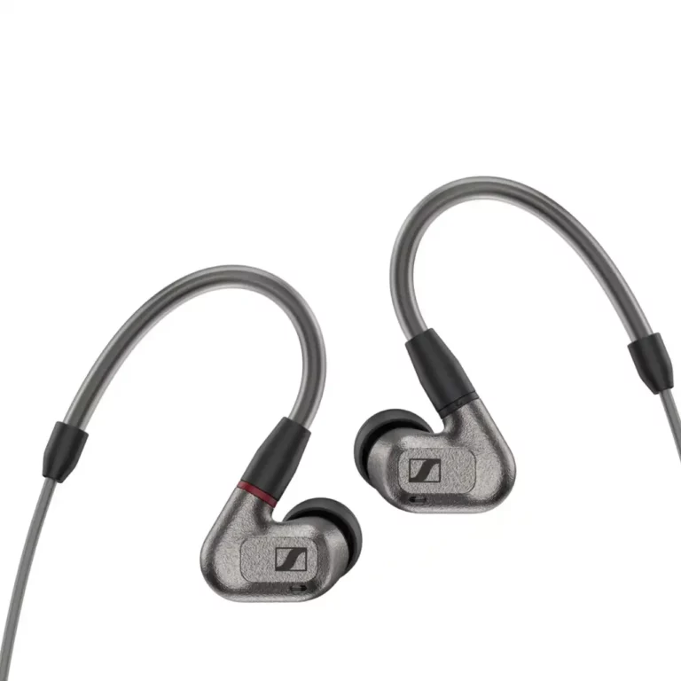 Sennheiser IE 600: In Ear Headphones