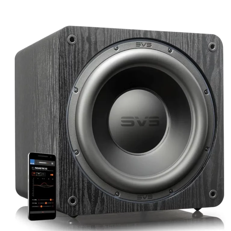 SVS SB-3000 Caisson de basses Scellé 13 po Haut-parleur 800 Watts RMS Frêne noir (SB-3000)