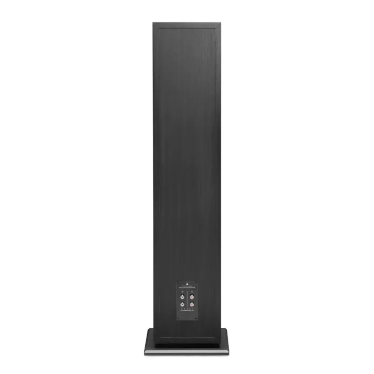 Yamaha WXA50B et Triangle Borea 10 Noir - Paquet