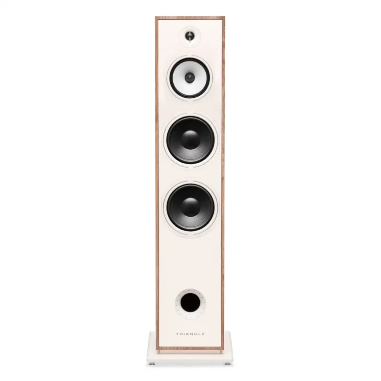 Triangle Borea BR10 Floorstanding Speaker – Light Oak (Pair)