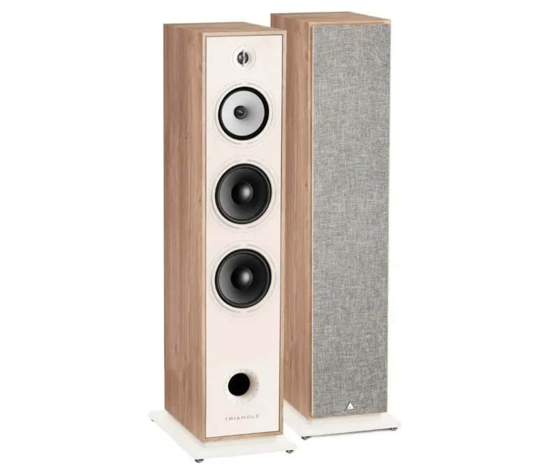 Triangle Borea BR10 – Enceinte Colonne – Chêne Clair (Paire)