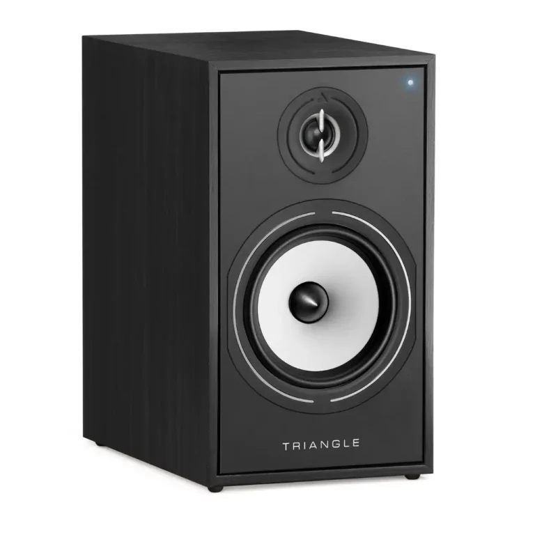 Triangle Borea BR03 Connect – Enceinte Bluetooth Noire (Paire)