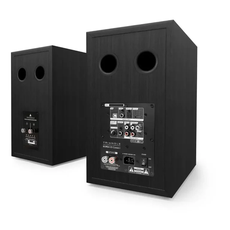 Triangle Borea BR03 Connect – Enceinte Bluetooth Noire (Paire)
