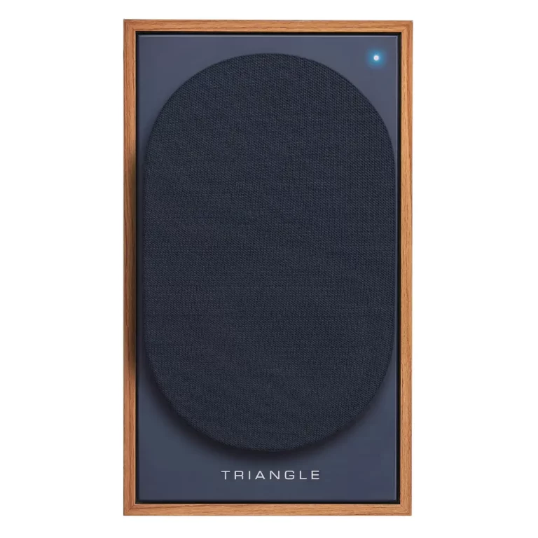 Triangle Borea BR03 Connect Bluetooth Speaker Pair – Oak Blue