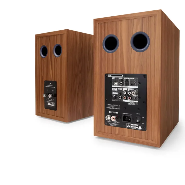 Triangle Borea BR03 Connect Bluetooth Speaker Pair – Oak Blue