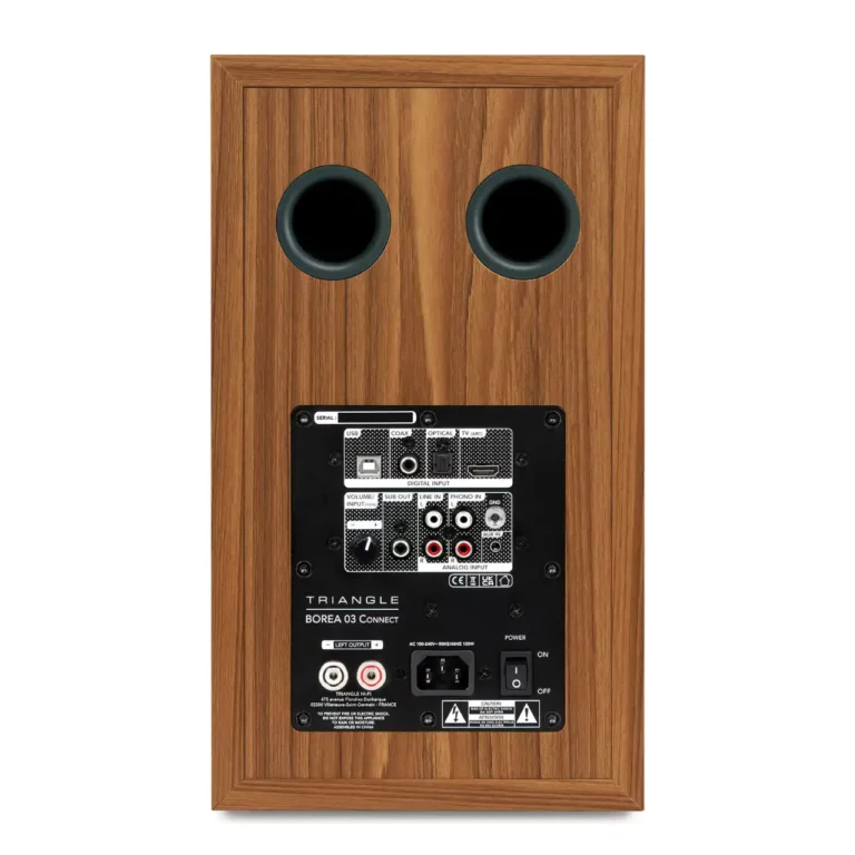 Triangle Borea BR03 Connect Bluetooth Speaker Pair – Green