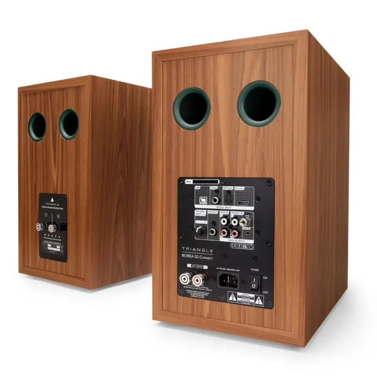 Triangle Borea BR03 Connect Bluetooth Speaker Pair – Green