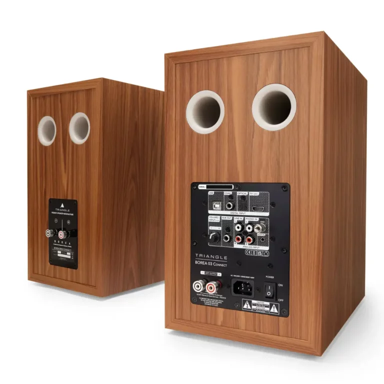 Triangle Borea BR03 Connect Bluetooth Speaker Pair – Oak