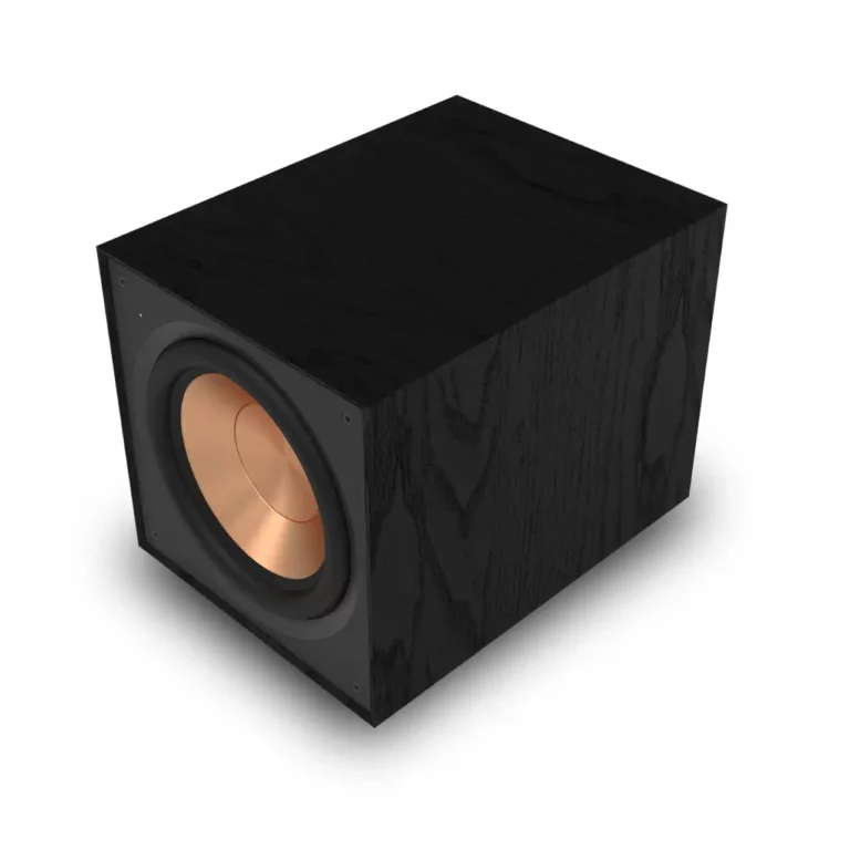 Klipsch 10 po Caisson de Basses en Vinyle Grain de Bois Texturé Noir - (R101SW)