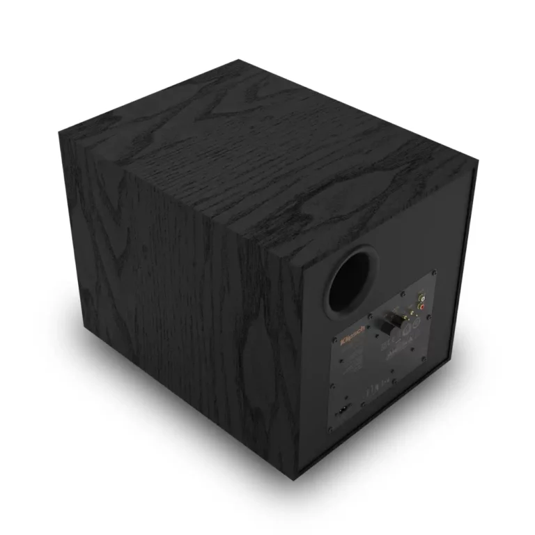 Klipsch 10 po Caisson de Basses en Vinyle Grain de Bois Texturé Noir - (R101SW)