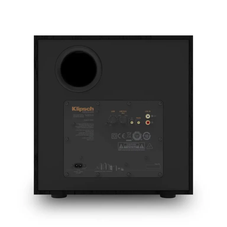 Klipsch 10 po Caisson de Basses en Vinyle Grain de Bois Texturé Noir - (R101SW)
