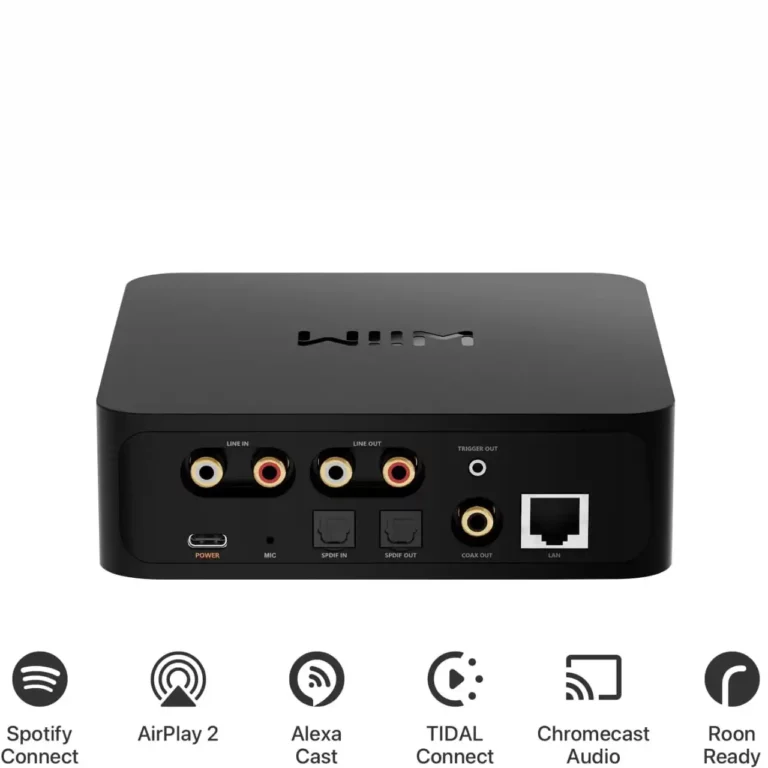 WiiM Pro Diffuseur (WiiM Pro)