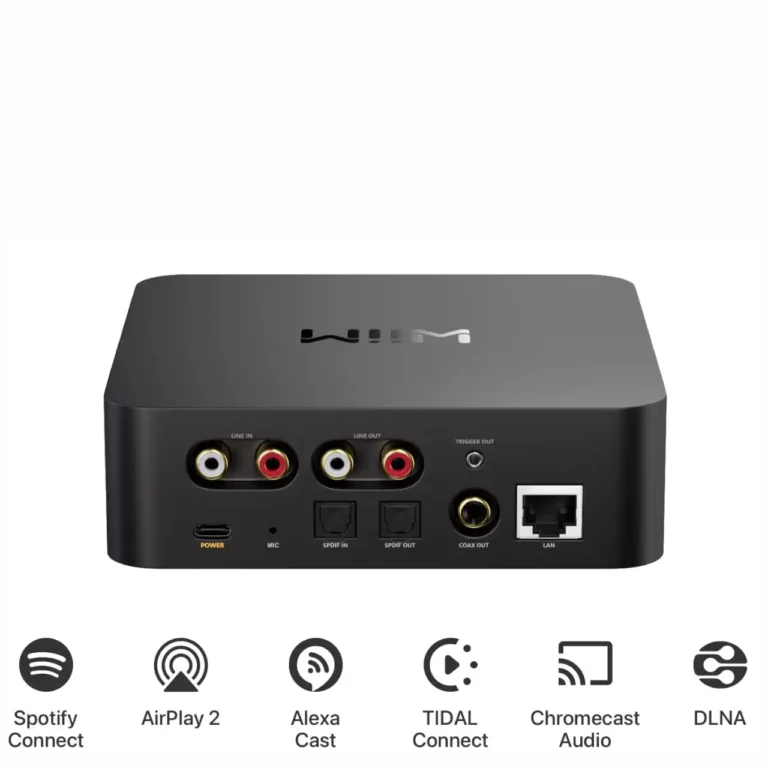 WiiM Pro Plus Diffuseur (WiiM Pro Plus)