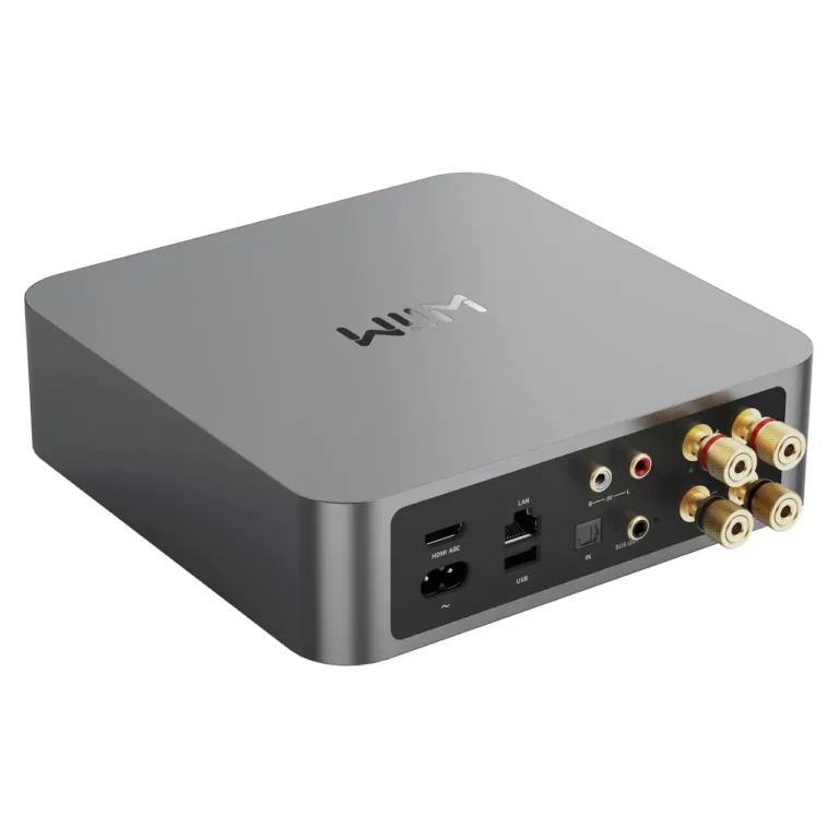 Wiim Amp Amplificateur de Streaming Multiroom (WIIMAMP)