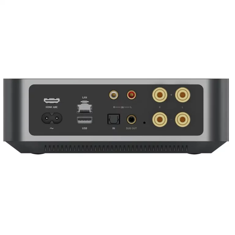 Wiim Amp Amplificateur de Streaming Multiroom (WIIMAMP)