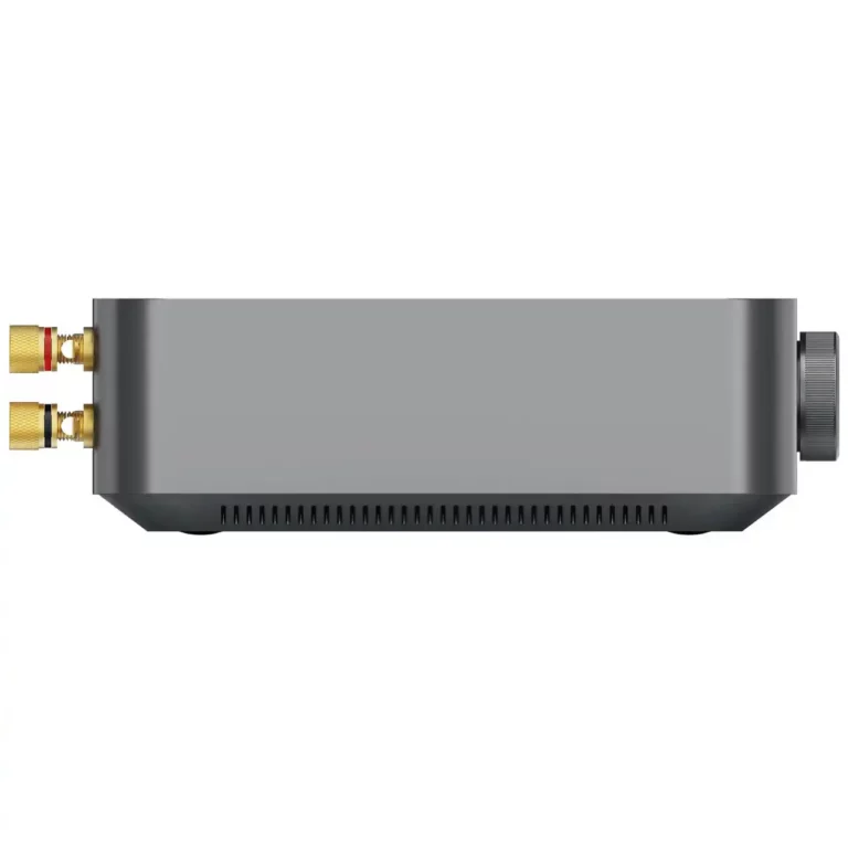 Wiim Amp Amplificateur de Streaming Multiroom (WIIMAMP)