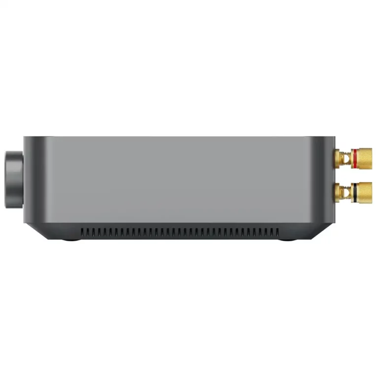 Wiim Amp Amplificateur de Streaming Multiroom (WIIMAMP)