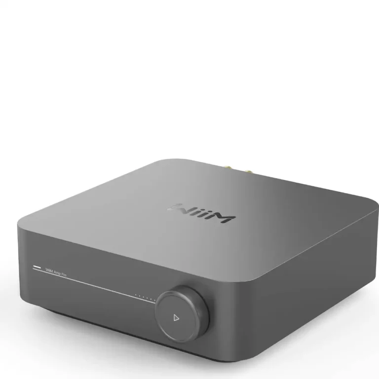 Wiim Amp Pro Amplificateur de Streaming Multiroom (WIIMAMPPRO)