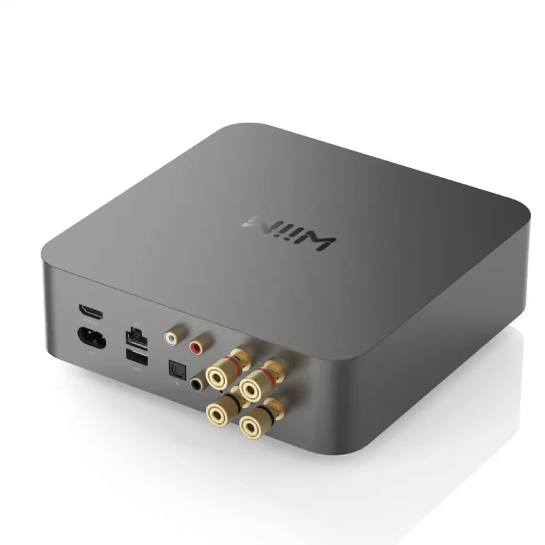 Wiim Amp Pro Amplificateur de Streaming Multiroom (WIIMAMPPRO)