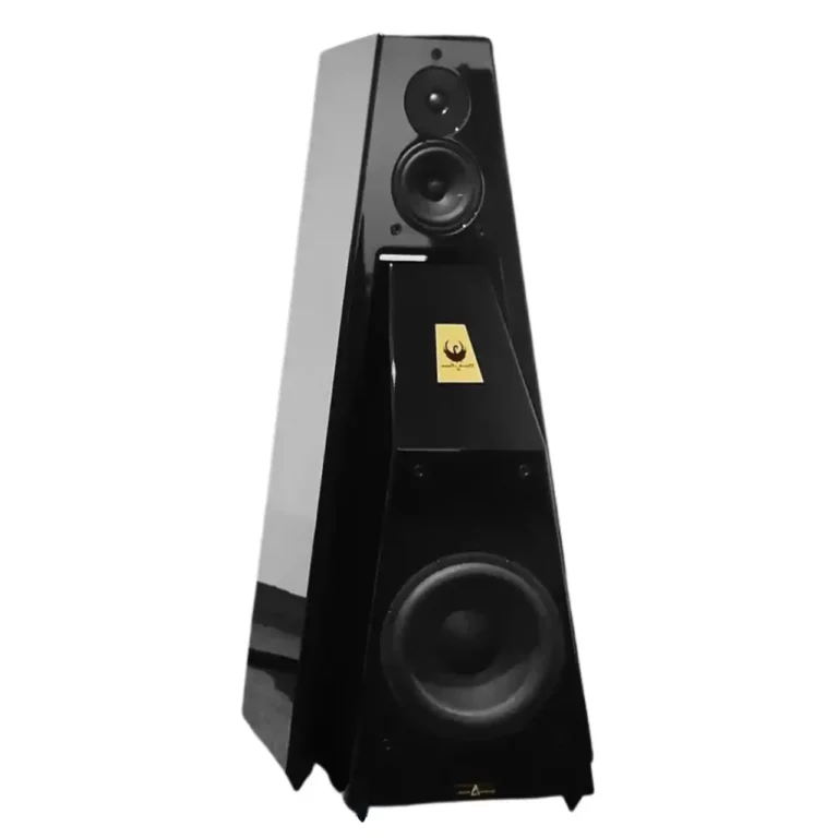 Gershman Acoustics 30e Anniversaire Black Swan Noir
